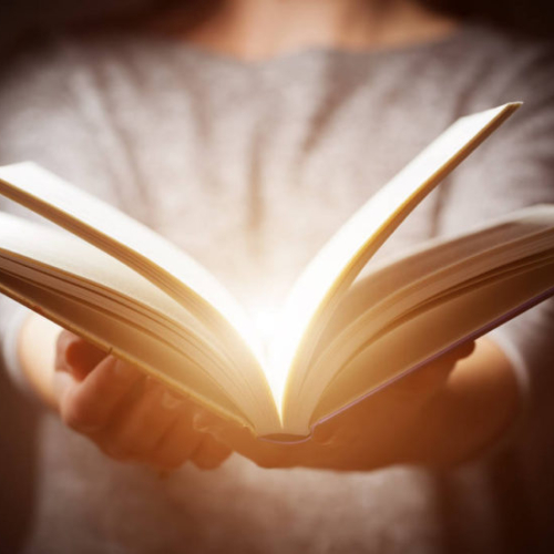 nulidad contrato de franquicia 2